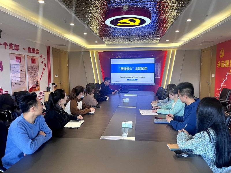 堅定不移跟黨走 爭做新時(shí)代好青年——智引公司團總支開(kāi)展“堅強核心”專(zhuān)題團課