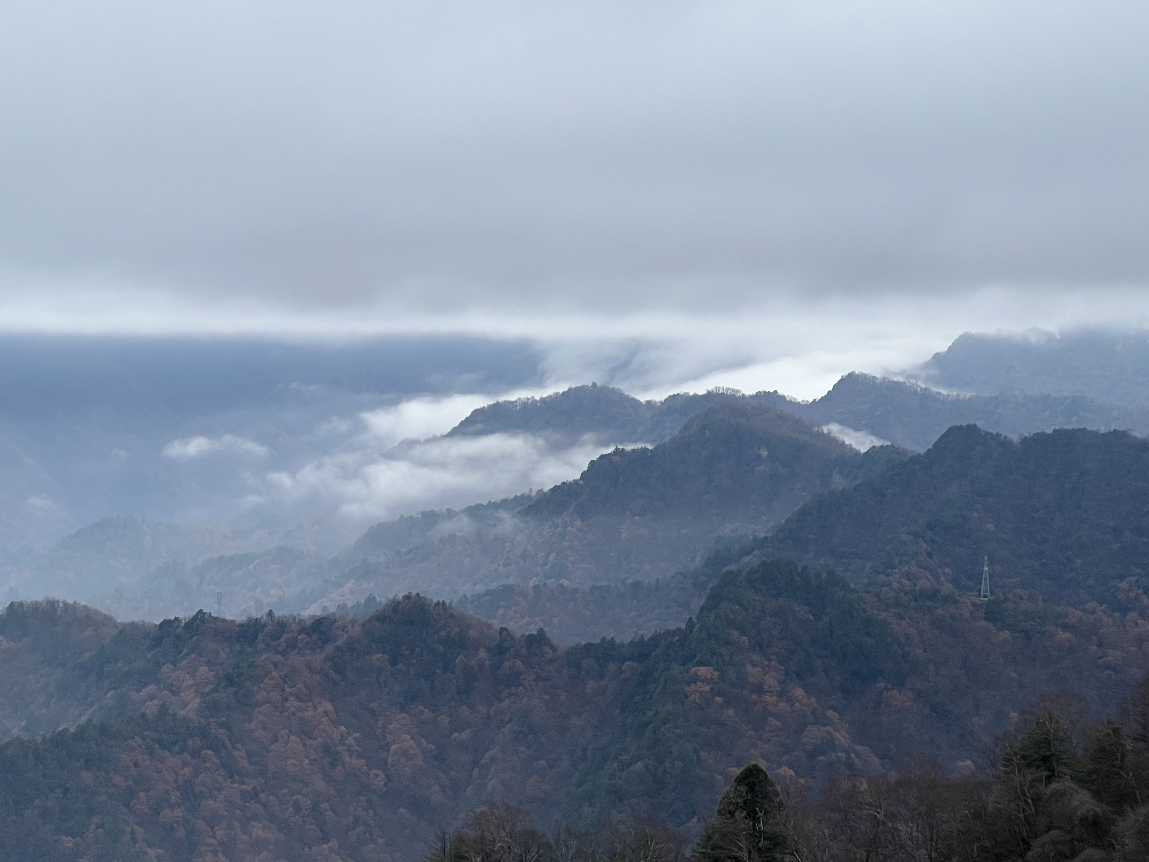 華山營(yíng)銷(xiāo)公司：冬已立，寒信至