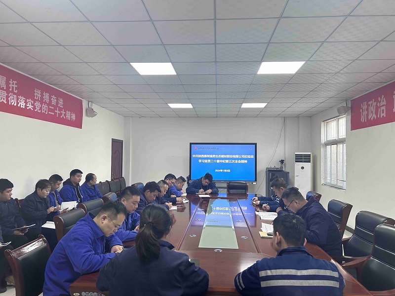 弘揚清風(fēng)正氣 永葆廉潔初心——賽柯瑞思公司紀檢組召開(kāi)黨風(fēng)廉政警示教育提醒會(huì )