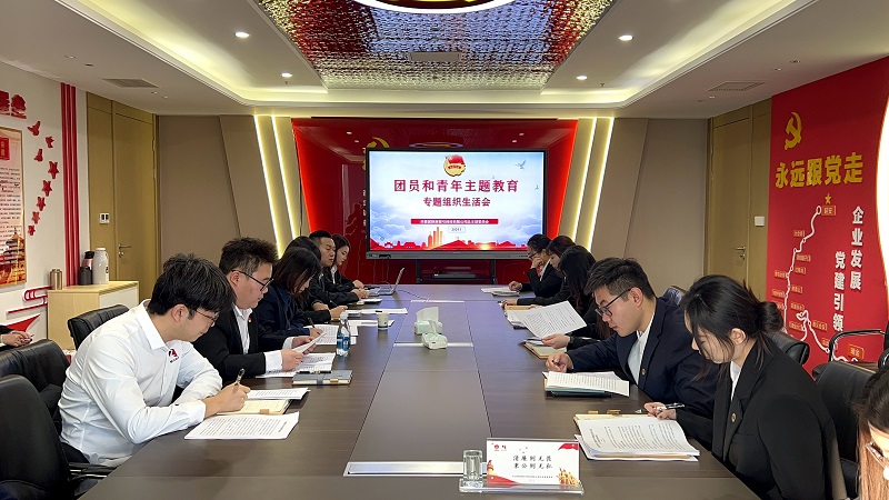 智引公司組織召開(kāi)團員和青年主題教育專(zhuān)題組織生活會(huì )