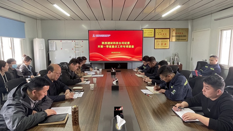 堅持高效協(xié)同 凝聚監督合力——陜西建材科技公司紀委開(kāi)展一季度重點(diǎn)工作監督檢查