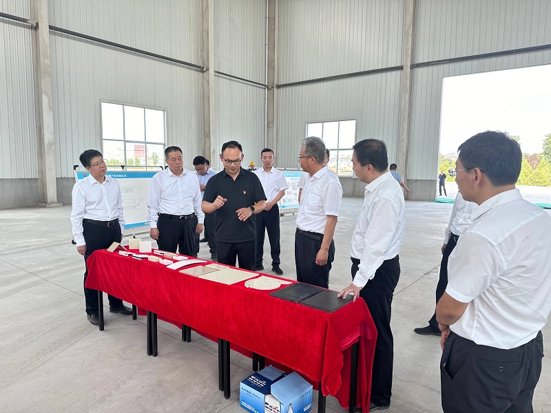 渭南市委副書(shū)記、市長(cháng)陳曉勇一行來(lái)龍門(mén)綠碳公司調研項目建設情況