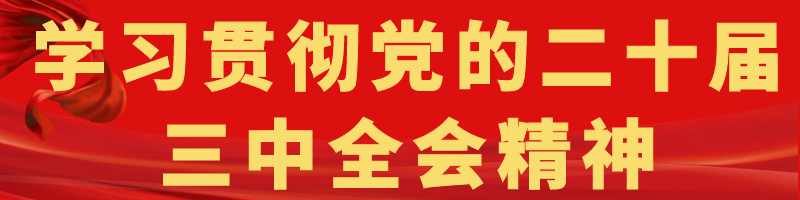 學(xué)習貫徹黨的二十屆三中全會(huì )精神